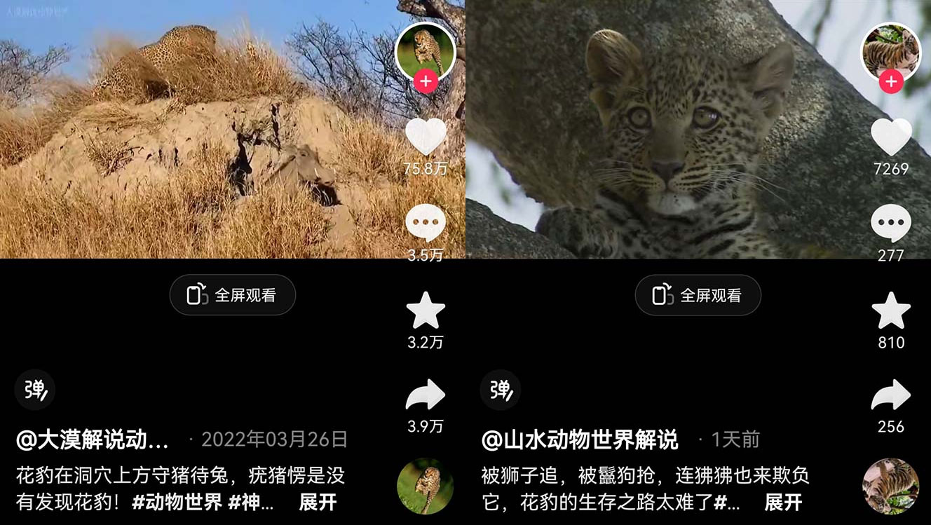 外面卖 1699 的国外纪录片解说：动物、美食、动画片解说，稳过中视频 - 觅资源