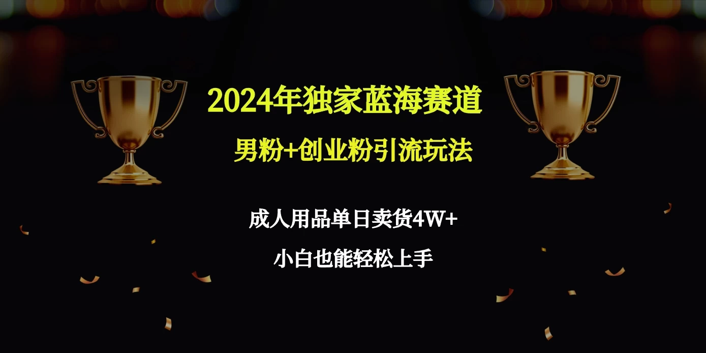 2024独家蓝海赛道，男粉＋创业粉引流玩法。 - 觅资源