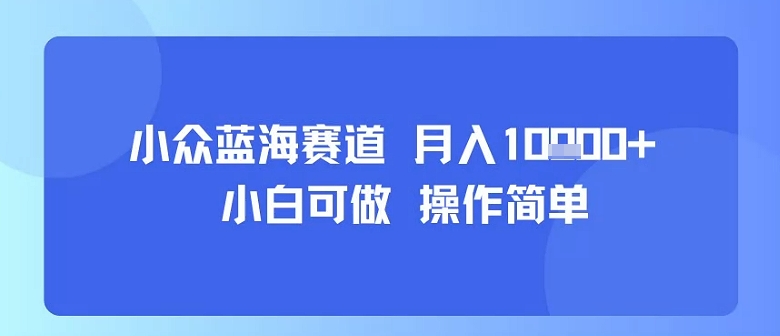 小众蓝海赛道，小白可做，操作简单，每天30分钟，月入1W+|YX网创