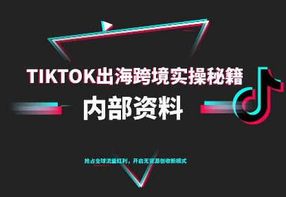 TikTok跨境电商0-1搭建运营(更新10月)|中创学习社