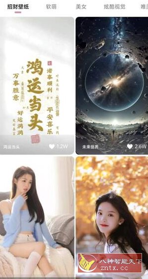 牛牛小组件1.5.10高级版 - 觅资源