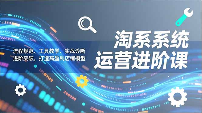 淘系系统运营进阶课2.0，流程规范、工具教学、实战诊断，进阶突破，打造高盈利店铺模型|YX网创
