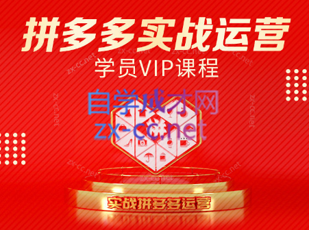 推易电商·拼多多实战运营课(更新2025月)|YX网创