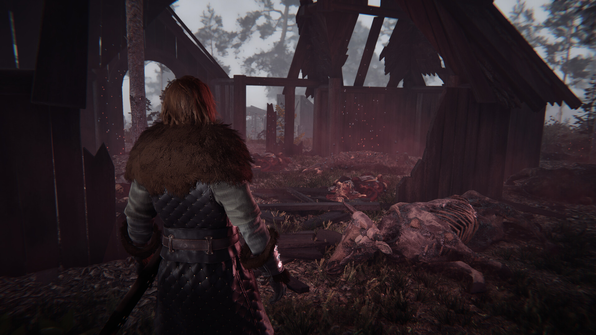 覆巢之地/Nested Lands