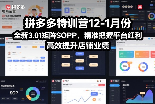 拼多多特训营12-1月份，全新3.01矩阵Sop，精准把握平台红利，高效提升店铺业绩|YX网创