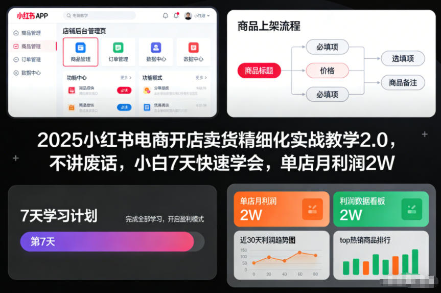 2025小红书电商开店卖货精细化实战教学2.0，不讲废话，小白7天快速学会，单店月利润2W|YX网创