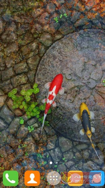 Water Garden Live Wallpaper 锦鲤3D动态壁纸2.08专业版 - 觅资源