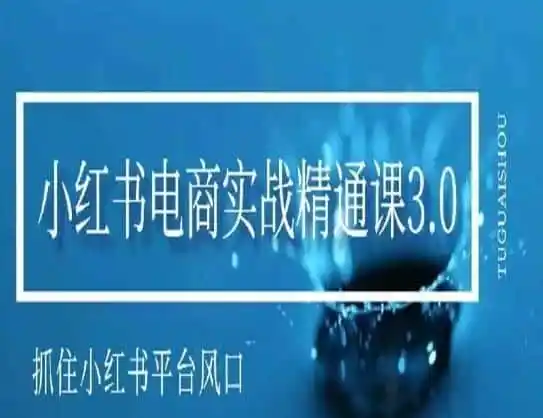小红书电商实战精通课3.0,抓住小红书平台的风口,不错过有一个赚钱的机会