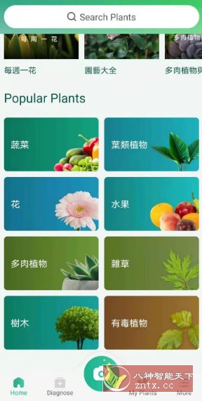 PictureThis 植物识别v5.25.0专业版 - 觅资源