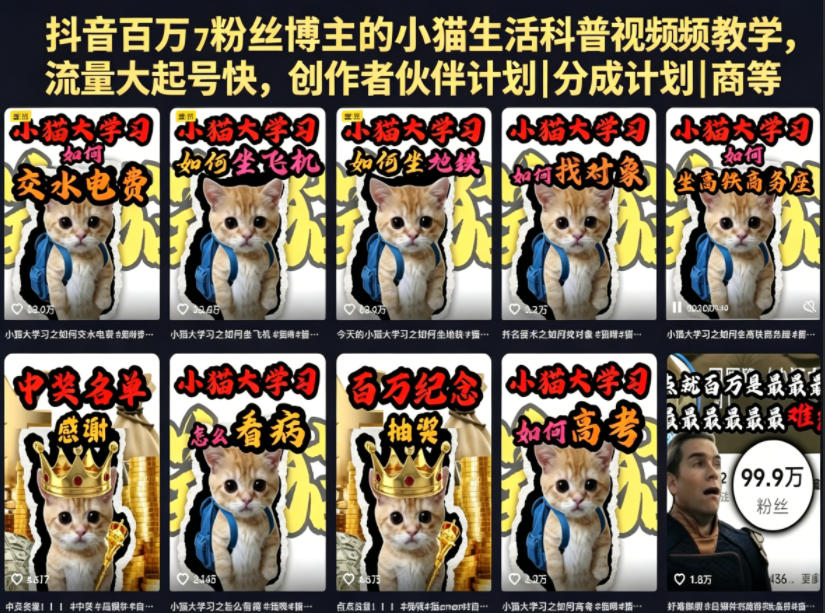 抖音百万粉丝博主的小猫生活科普视频教学，流量大起号快，创作者伙伴计划|分成计划|商单|收徒等 - 觅资源