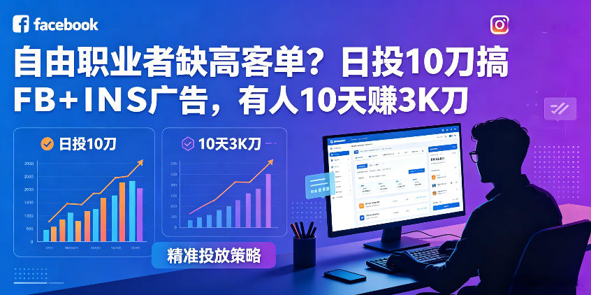 自由职业者缺高客单？日投10刀搞FB+INS广告，有人10天赚3K刀！【原创双语字幕】 - 觅资源