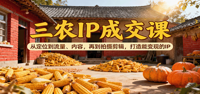 三农IP成交课：从定位到流量、内容，再到拍摄剪辑，打造能变现的IP|YX网创