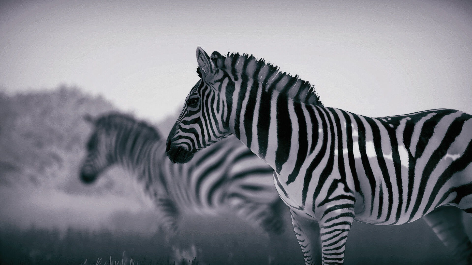 幽居之境/Seclusa 幽居之境/Seclusa