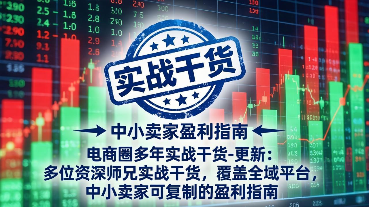 电商圈多年实战干货-更新5月20：多位资深师兄实战干货/覆盖全域平台，中小卖家可复制的盈利指南 - 觅资源