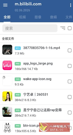 GetThemAll全能下载器3.6.5 - 觅资源