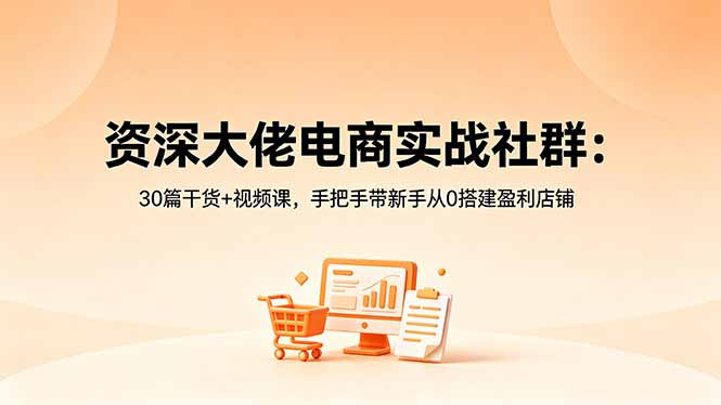 资深大佬电商实战社群：30篇干货+视频课，手把手带新手从0搭建盈利店铺 - 觅资源