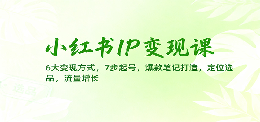 小红书IP变现课：6大变现方式，7步起号，爆款笔记打造，定位选品，流量增长|YX网创