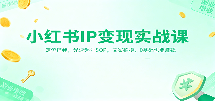 小红书IP变现实战课：定位搭建，光速起号SOP，文案拍摄，0基础也能赚钱|YX网创