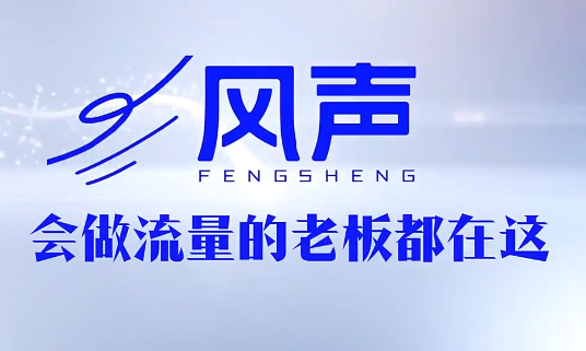 董十一·风声短视频AI获客年度会员 - 觅资源