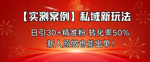 【实测案例】私域新玩法，日引30+精准粉，转化率50%，新人照做也能出单！|YX网创