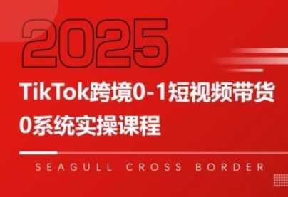 大亿老师·TikTok跨境0-1短视频带货 - 觅资源