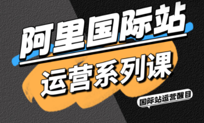 醒目老师·阿里国际站运营系列课(更新11月)|中创学习社