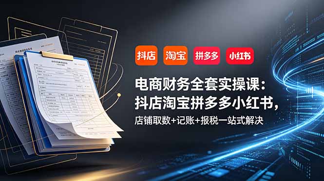 电商财务全套实操课：抖店淘宝拼多多小红书，店铺取数+记账+报税一站式解决 - 觅资源