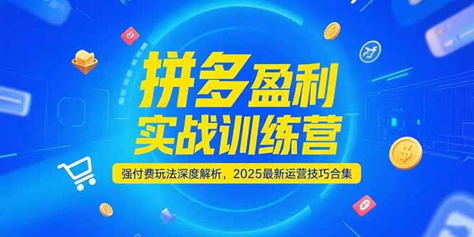 拼多多盈利实战训练营，强付费玩法深度解析，2025运营技巧合集-更新6月|YX网创
