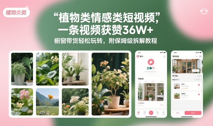 植物类情感类短视频，一条视频获赞36W+，橱窗带货轻松玩转，附保姆级拆解教程|中创学习社