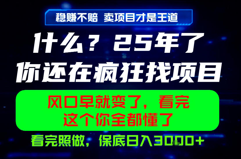 26年，请不要疯狂的找项目做了！卖项目才是真的稳賺不赔，看完照做，保底日入1k+【揭秘】 - 觅资源