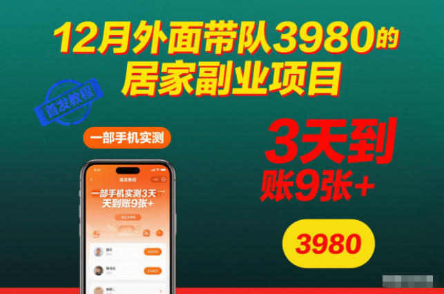 12月外面带队3980的居家副业项目，一部手机实测3天到账9张+，首发教程【揭秘】|YX网创