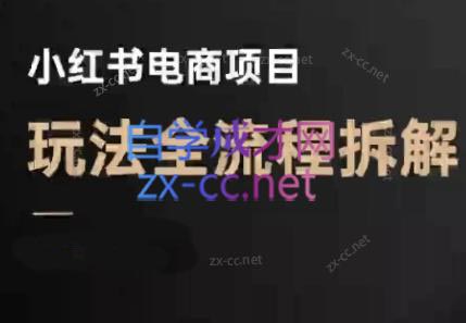 菲菲老师·小红书电商玩法(更新9月)|中创学习社