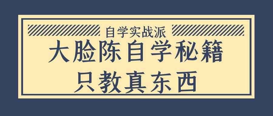 大脸陈自学秘籍只教真东西 - 觅资源
