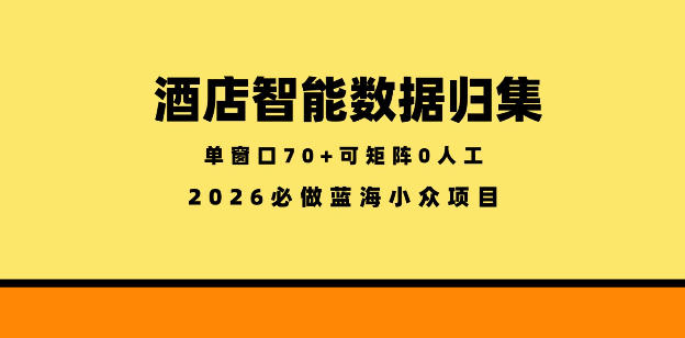 酒店智能数据归集，小众蓝海已经稳定半年之久，单窗口70+零成本矩阵开干【揭秘】 - 觅资源