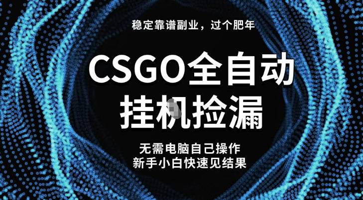 【稳定副业】全球最热门游戏CSGO全自动捡漏，最新玩法，新手小白日入5张+【揭秘】|YX网创
