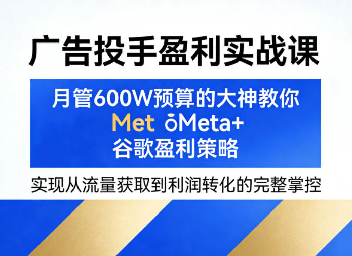 广告投手盈利实战课，月管600W预算的大神教你Meta+谷歌盈利策略，实现从流量获取到利润转化的完整掌控 - 觅资源