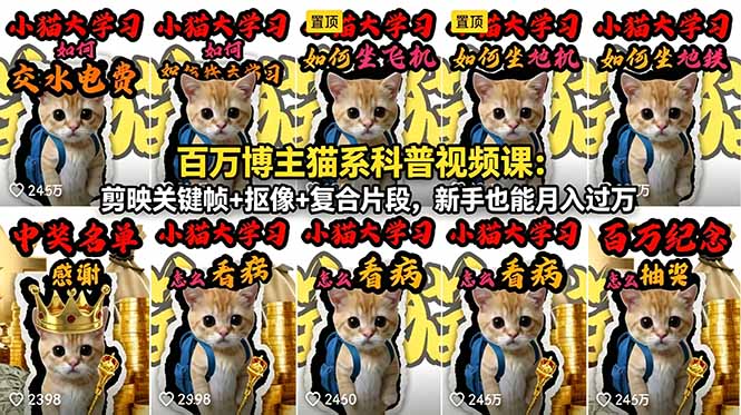 百万博主猫系科普视频课：剪映关键帧+抠像+复合片段，新手也能月入过万 - 觅资源