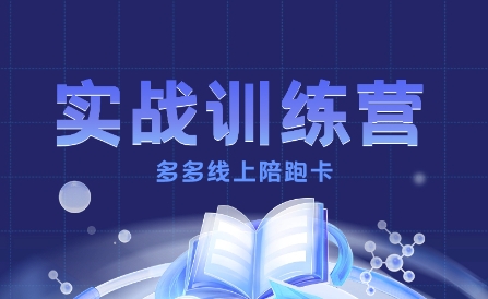 多多实战训练营，从0到1打造一个真正賺钱的店铺|YX网创