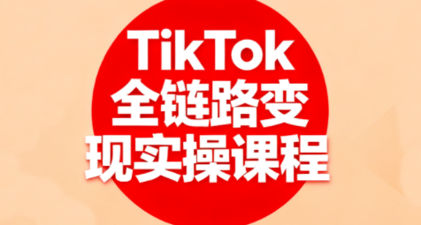 小杨老师·TikTok全链路变现实操课程|YX网创