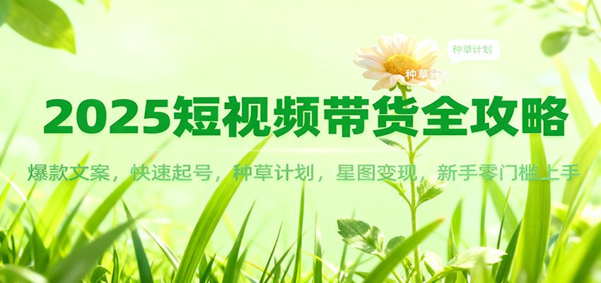 2025短视频带货全攻略：爆款文案，快速起号，种草计划，星图变现，新手零门槛上手|YX网创