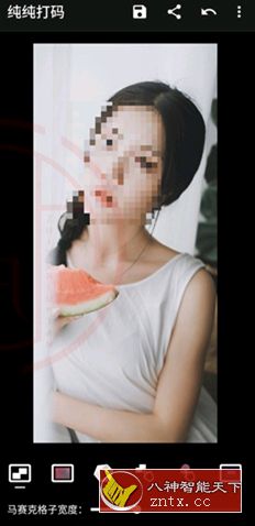 纯纯打码v4.10.2高级版 - 觅资源