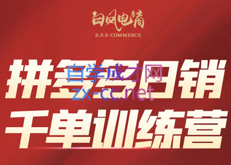 白凤电商·拼多多日销千单训练营(更新2月)|中创学习社