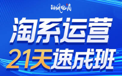 白凤电商·淘系运营21天速成班(更新4月) - 觅资源