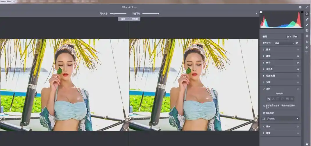 RAW处理Adobe Camera Raw v18.6.0中文版