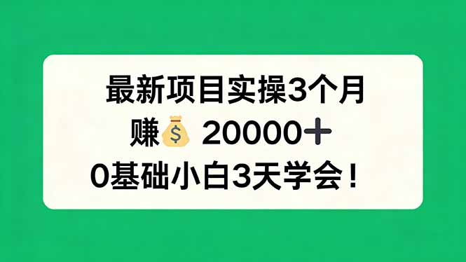 最新项目实操3个月，赚钱20000+，0基础小白3天学会！ - 觅资源
