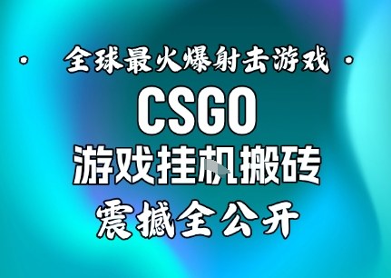 【年底大揭秘】基于全球最火爆的射击CSGO游戏挂G搬砖，日入5张+，震撼公开|YX网创