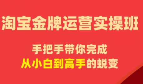 飓风电商·淘宝金牌运营实操班 - 觅资源