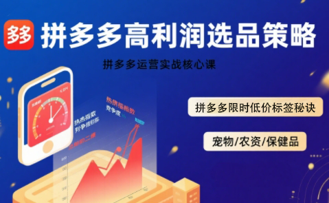 久号老师·拼多多选品暴利技术实战课 - 觅资源