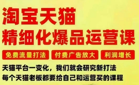 淘宝天猫精细化爆品运营课，免费流量打法-付费广告放大-利润增长-三大核心痛点，一次全部解决|YX网创