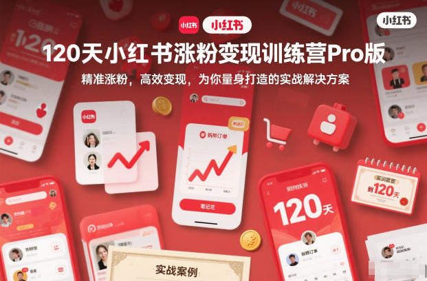 120天小红书涨粉变现训练营Pro版，精准涨粉，高效变现，为你量身打造的实战解决方案|YX网创
